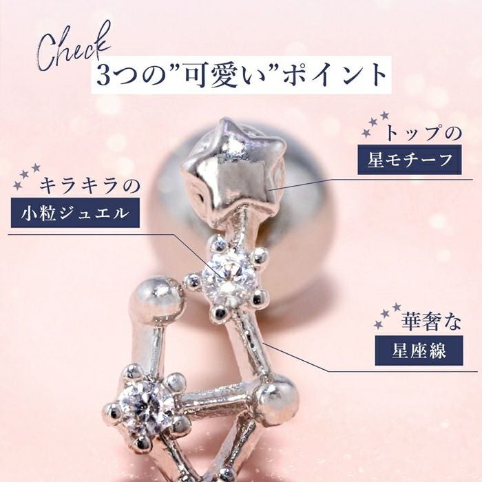 十二星座 ホロスコープ 星 スター ジュエル ラッキーアイテム ボディ