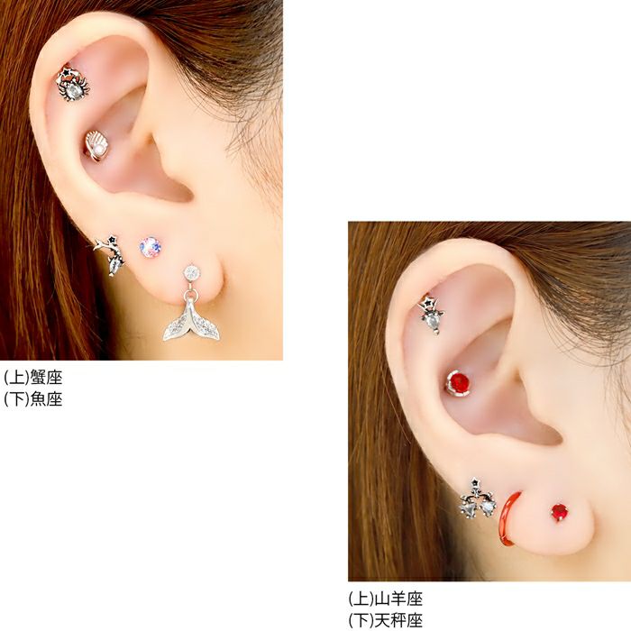 スター付き十二星座ピアス｜ボディピアス凛【公式】