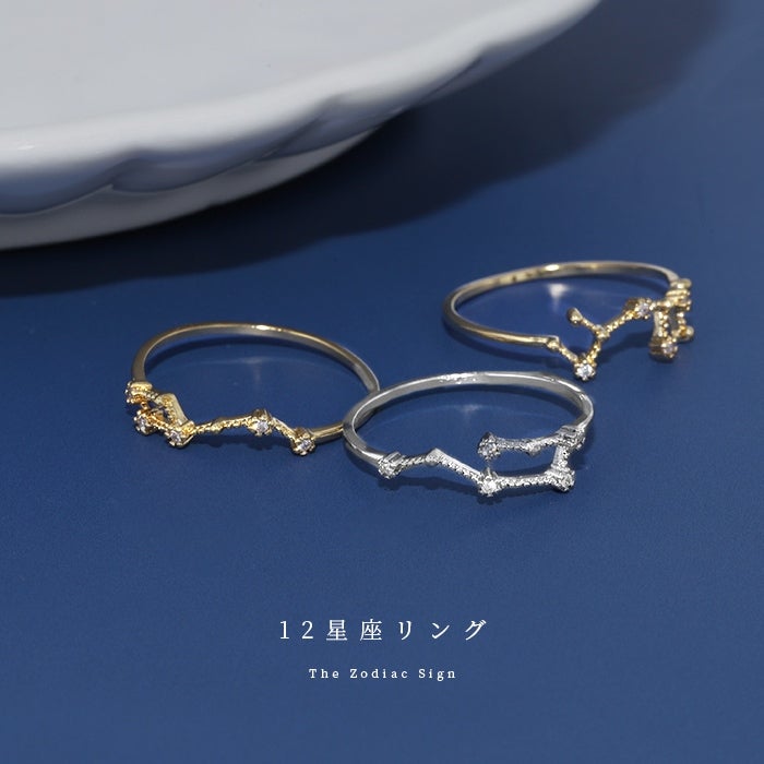 指輪 リング 12星座 ゾディアック デザインリング おしゃれ