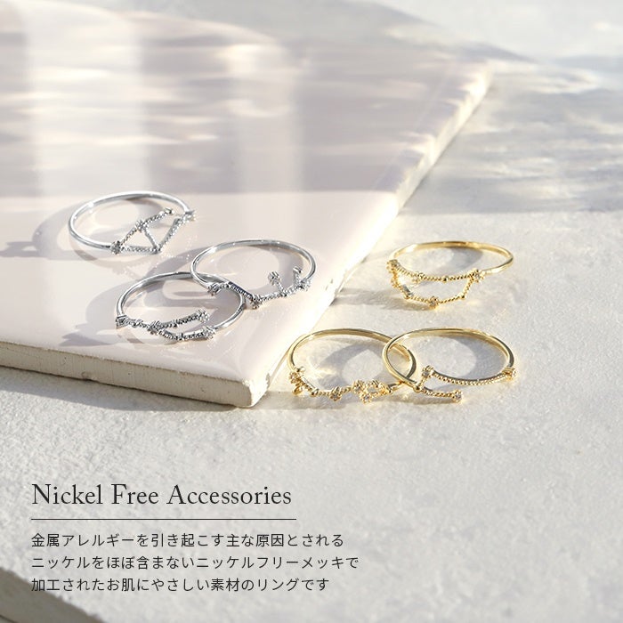 指輪 リング 12星座 ゾディアック デザインリング おしゃれ