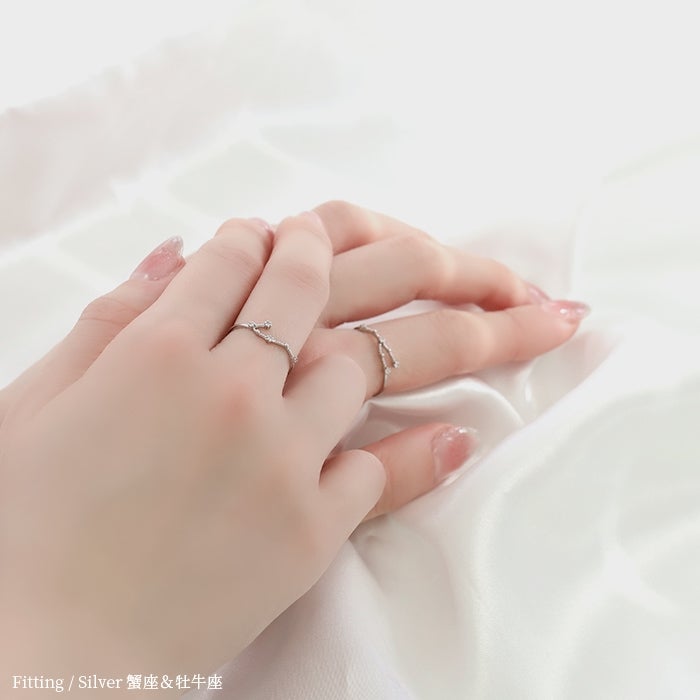 指輪 リング 12星座 ゾディアック デザインリング おしゃれ