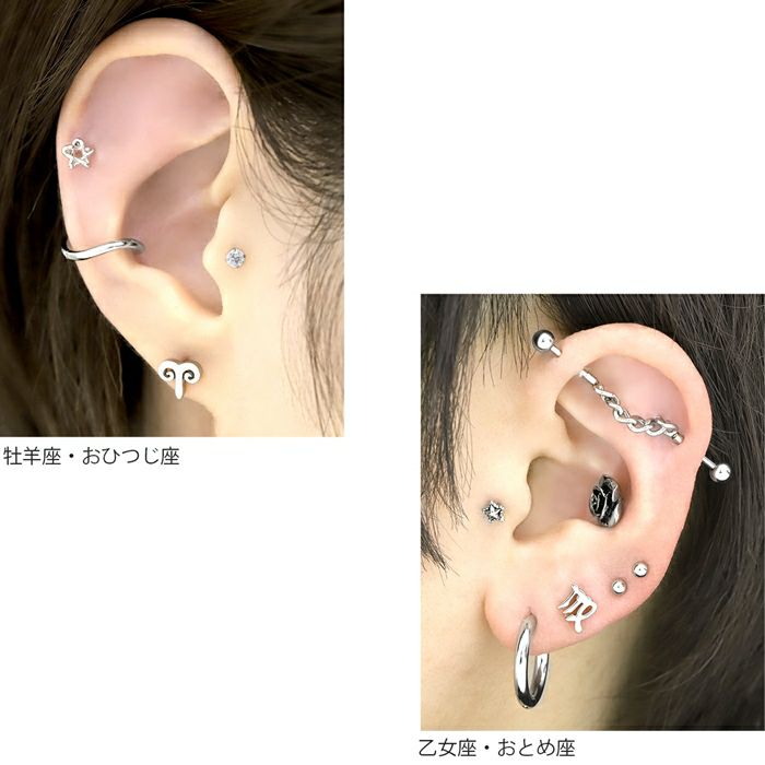16G 軟骨ピアス 星 12星座 星座 zodiac sign サージカルステンレス