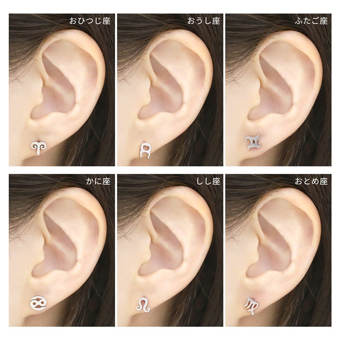 16G 軟骨ピアス 星 12星座 星座 zodiac sign サージカルステンレス