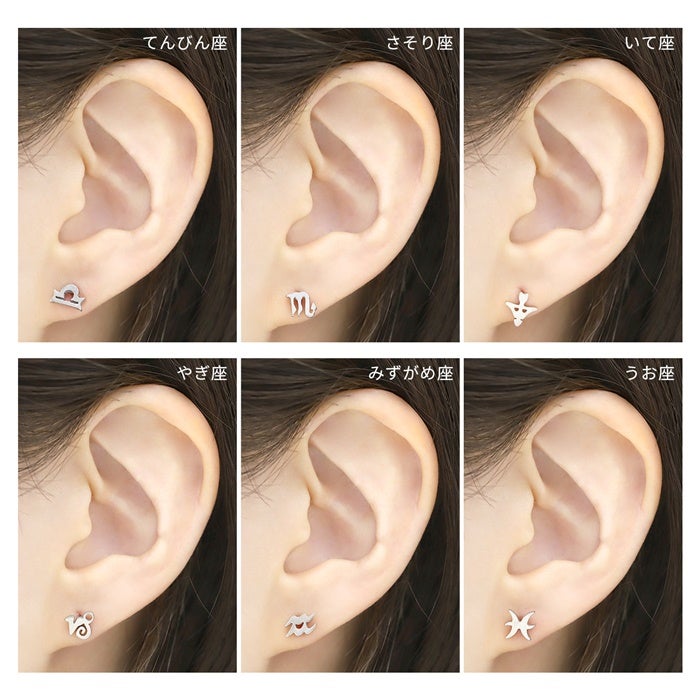 16G 軟骨ピアス 星 12星座 星座 zodiac sign サージカルステンレス