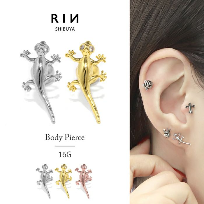 000000013851-01.jpg?size=m&w=